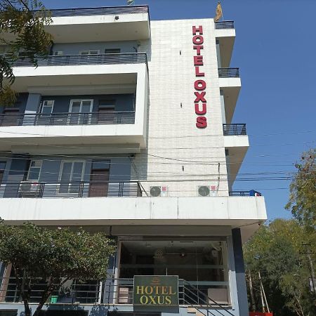 جايبور Hotel Oxus المظهر الخارجي الصورة